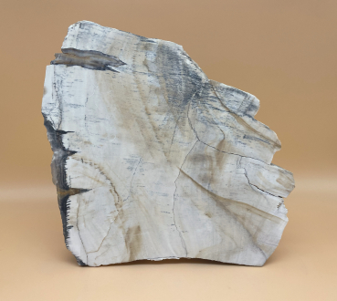 Preview: Australisches Opalholz